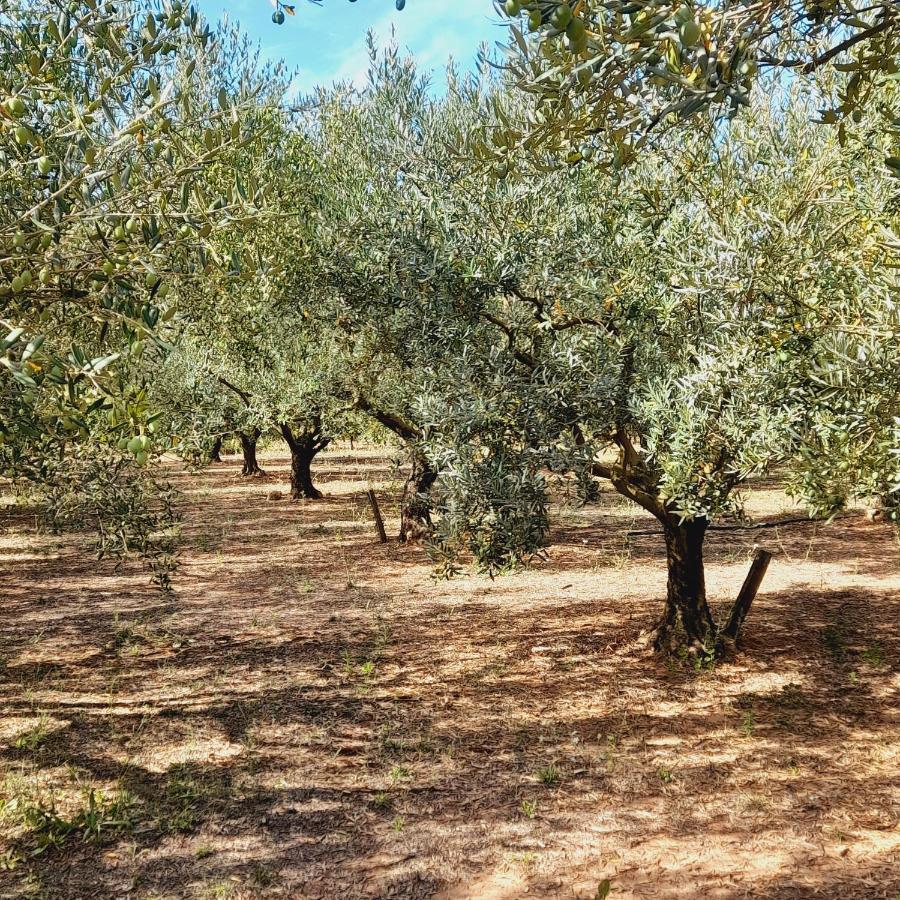Вілла La Ferme Des Oliviers Сольє-Пон Екстер'єр фото